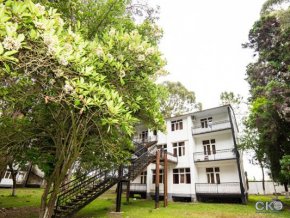 пансионат «Эвкалиптовая роща» Сухум